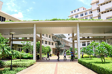 Terra Firma: Mastering the Art of Landscape Architecture