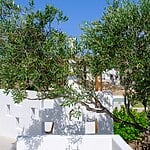 Myconian Mythodea by rafa-architects - Sheet1