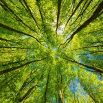 Architecture trends: Environmental friendliness materials - Sheet2