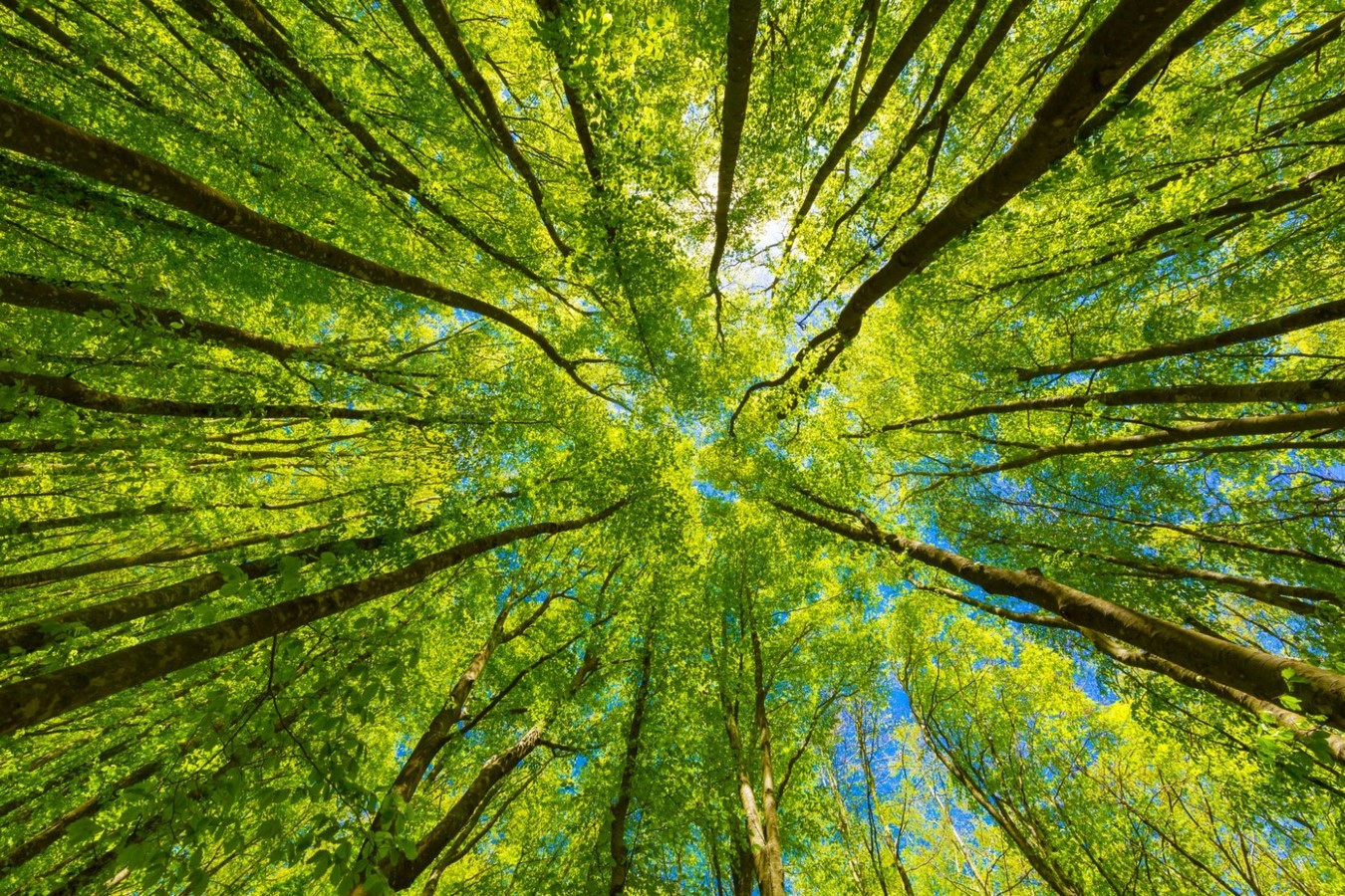 Architecture trends: Environmental friendliness materials - Sheet2