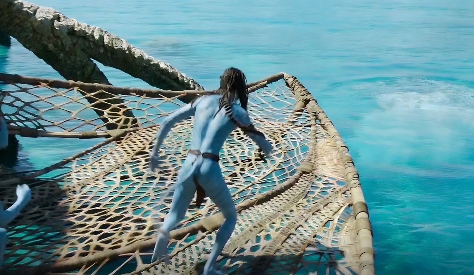 An architectural review of Avatar- The Way of Water - Sheet8
