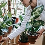 Architecture trends: Biophilic architecture - Sheet1