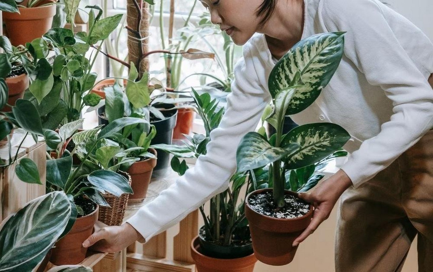 Architecture trends: Biophilic architecture - Sheet1