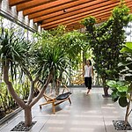 Architecture trends: Biophilic architecture - Sheet2