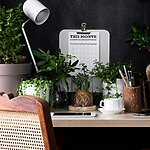 Architecture trends: Biophilic architecture - Sheet4