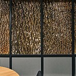 Architecture trends: Biophilic architecture - Sheet5