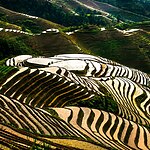 Travel the world: The Longji Rice Terraces - Sheet1