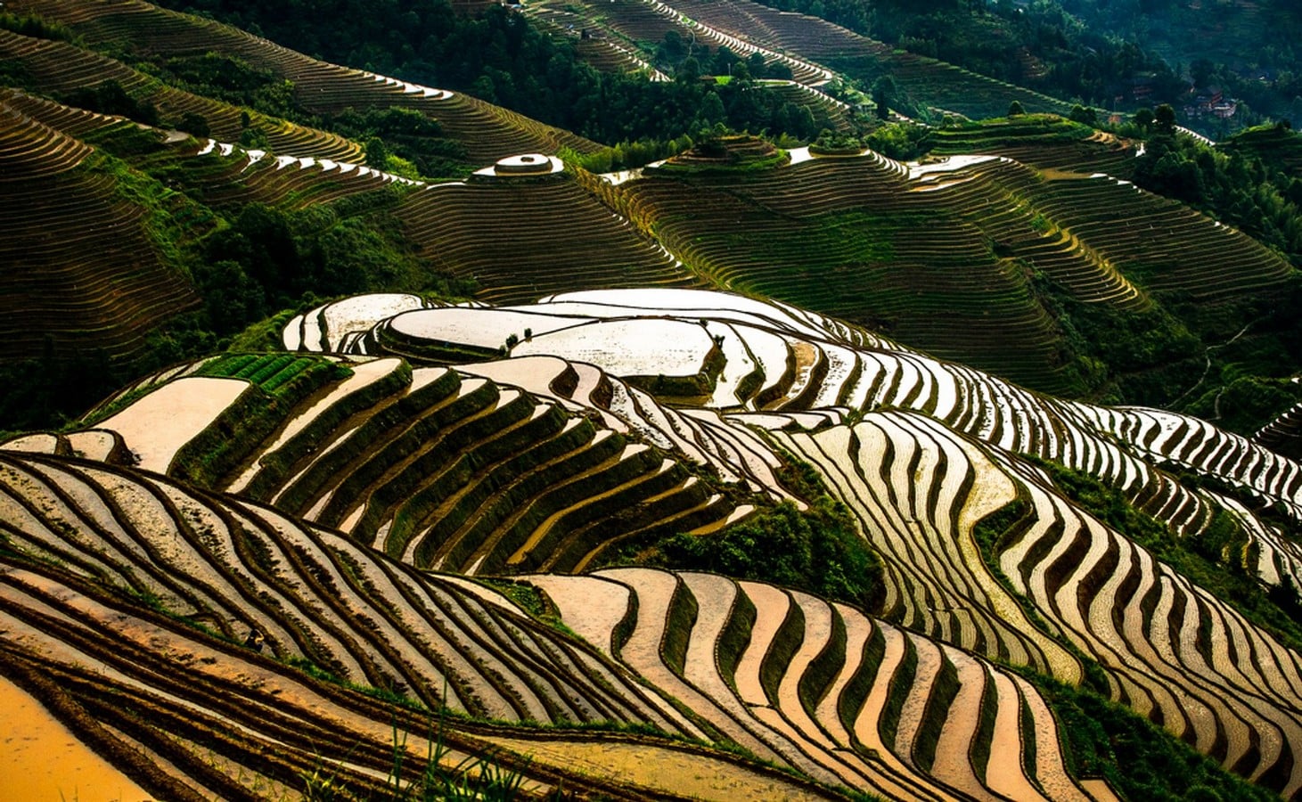 Travel the world: The Longji Rice Terraces - Sheet1