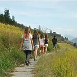 Travel the world: The Longji Rice Terraces - Sheet2
