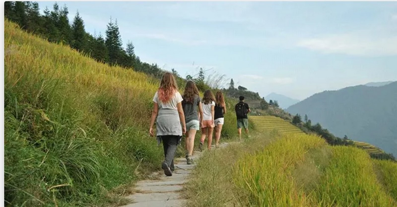 Travel the world: The Longji Rice Terraces - Sheet2