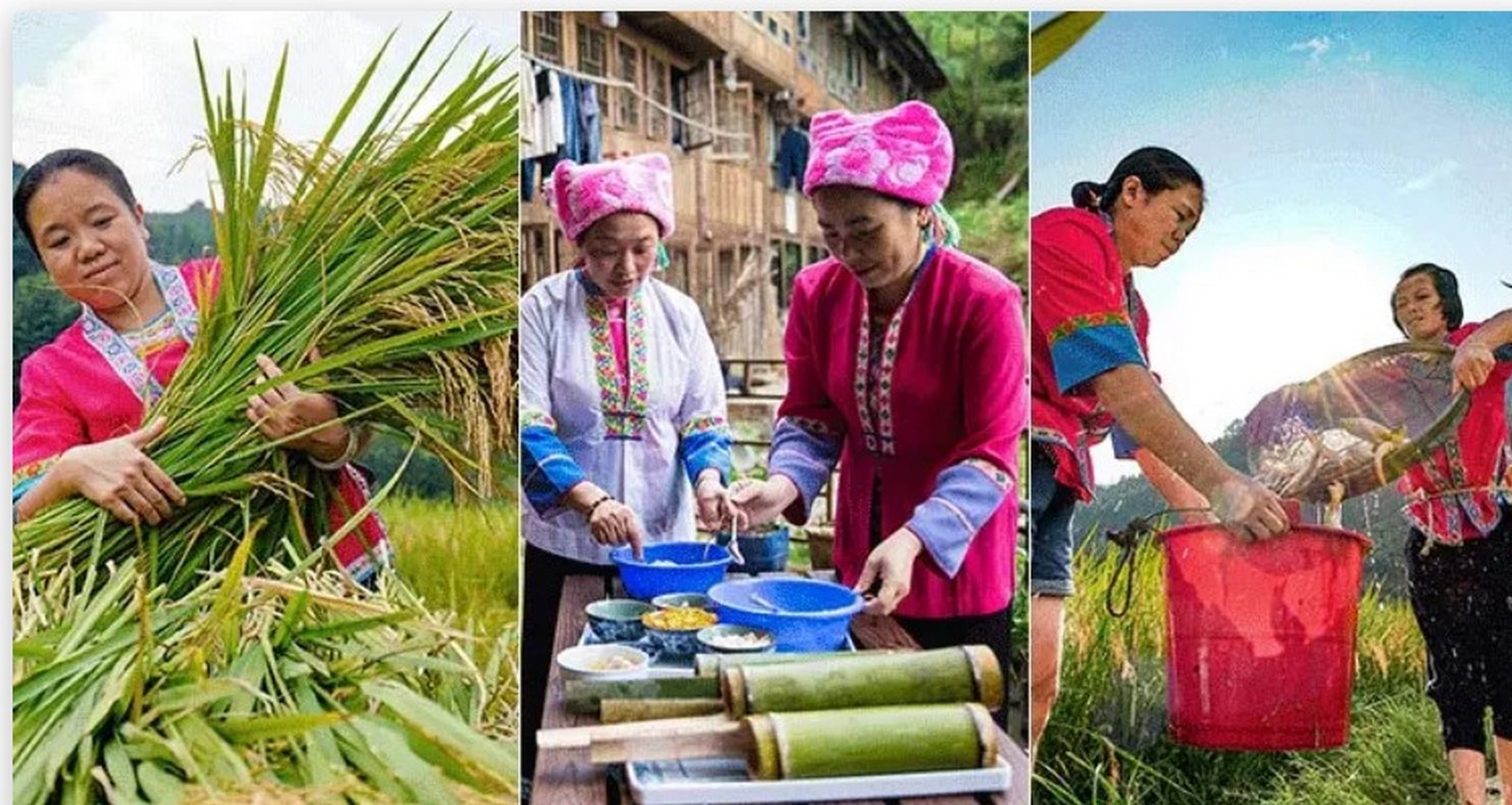 Travel the world: The Longji Rice Terraces - Sheet3