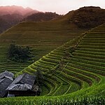 Travel the world: The Longji Rice Terraces - Sheet5