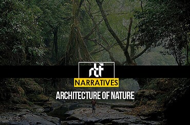 Architecture of Nature