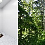 Architecture of Nature - Sheet1