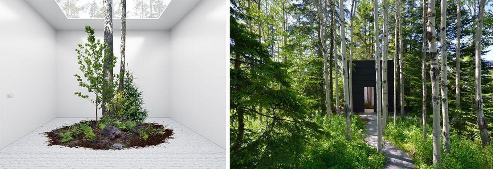 Architecture of Nature - Sheet1