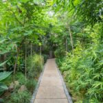 10 Projects by Architects that showcase traditional practices - SHeet25