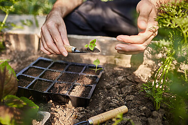 Foundation Planting Basics: Mastering the Fundamental