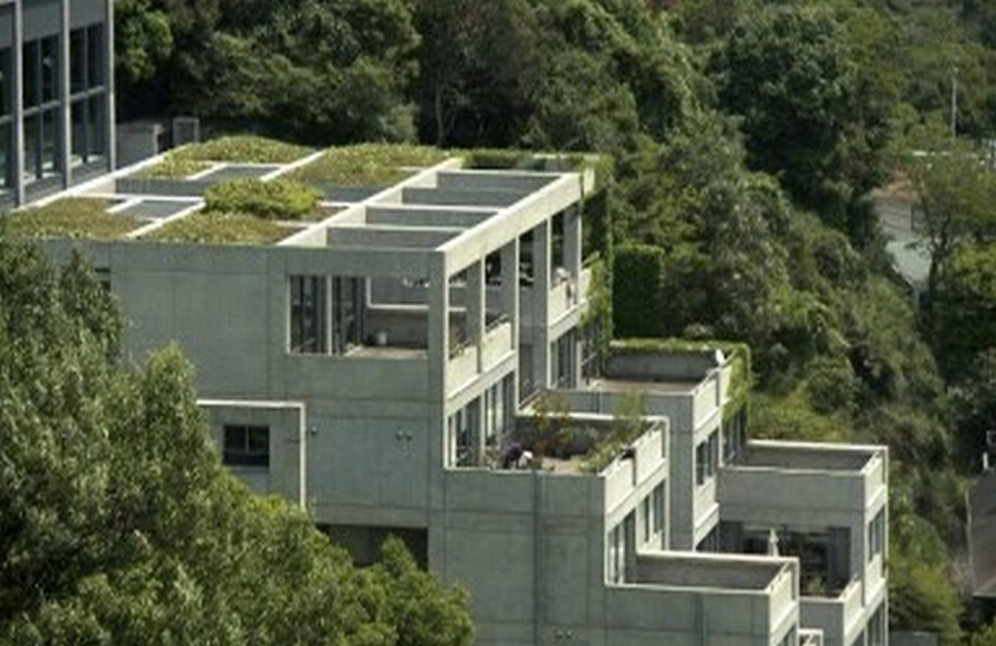 【再販なし！】Tadao Ando Rokko Housing Rokko Housing I, II, III, Kobe: A Triumph of Modern Architecture