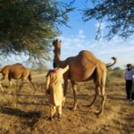 Biocultural Community Protocols A Community Approach to Ensuring the Integrity of Environmental Law and Policy-Sheet1