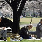 Responsive Design for Aging Populations Crafting Spaces for All Ages-Sheet1