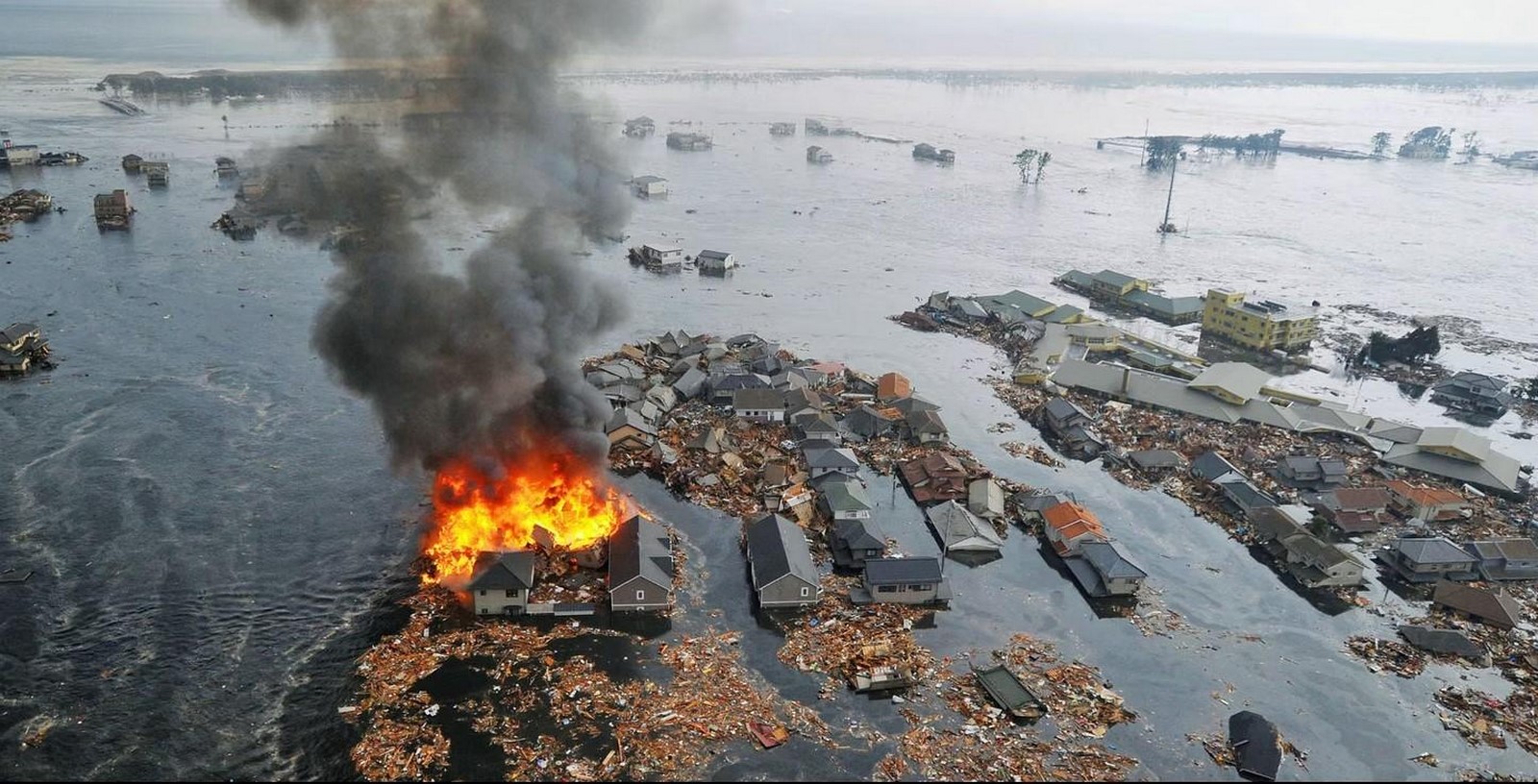 What is Japan teaching us in terms of resilience to disasters-Sheet4