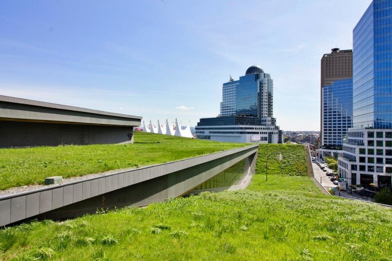Beyond Aesthetics The Functional Benefits of Green Roofs in Architecture-Sheet1