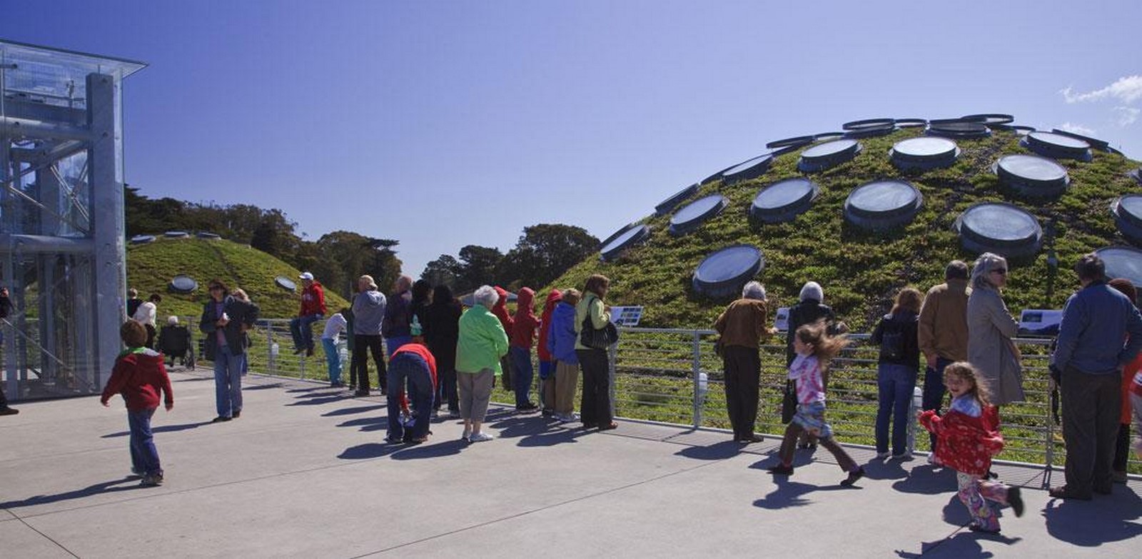 Beyond Aesthetics The Functional Benefits of Green Roofs in Architecture-Sheet3