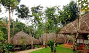 Eco-Friendly Resorts: Redefining Luxury in the World of Hospitality ... - First-Class Eco-Friendly Hospitality High-Rises
