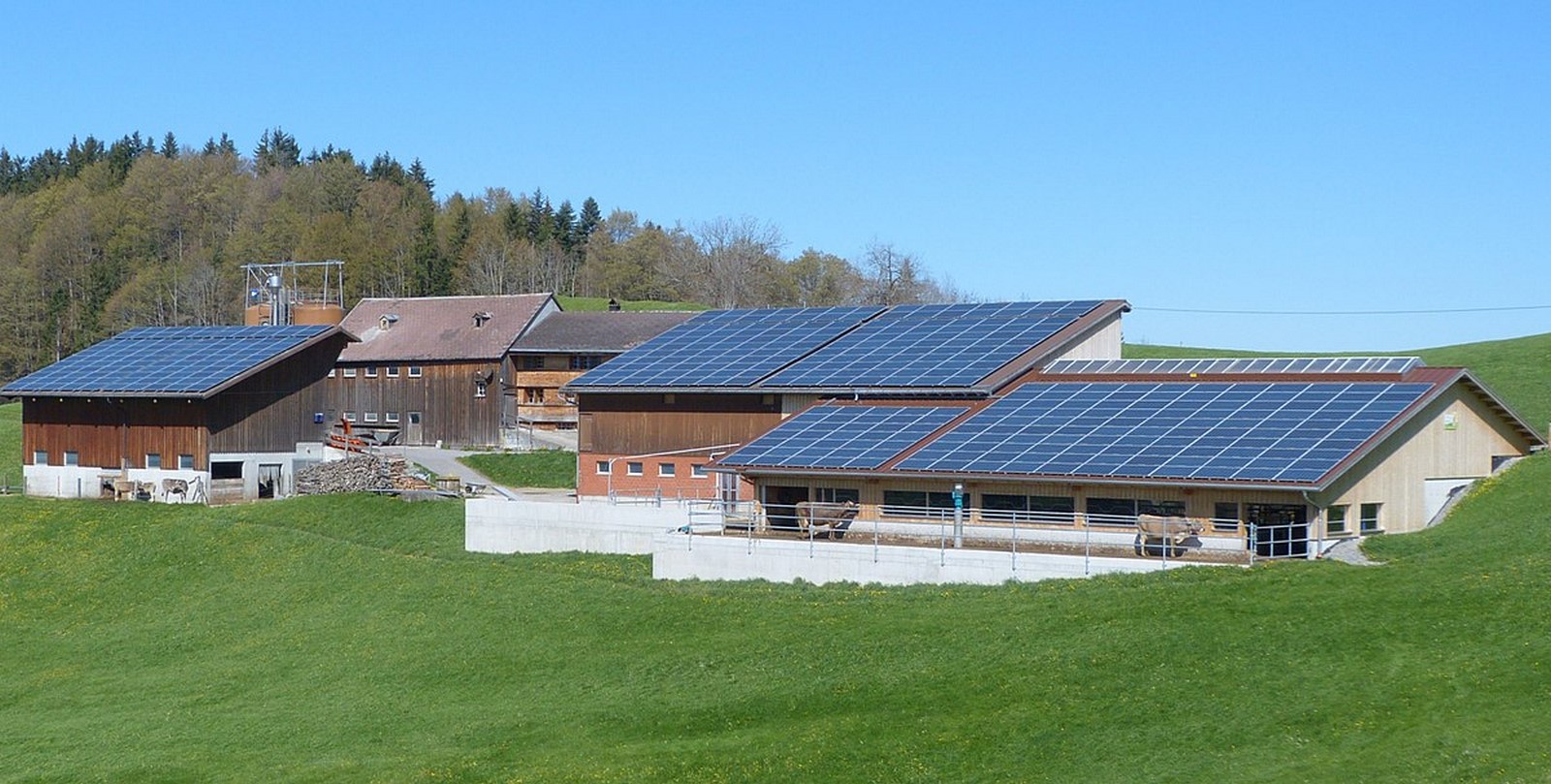Architecture Trends: Rapid and cost-effective construction methods-Sheet4