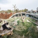 Zoo concepts for the 21st century-Sheet2