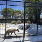 Zoo concepts for the 21st century-Sheet3