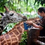 Zoo concepts for the 21st century-Sheet6
