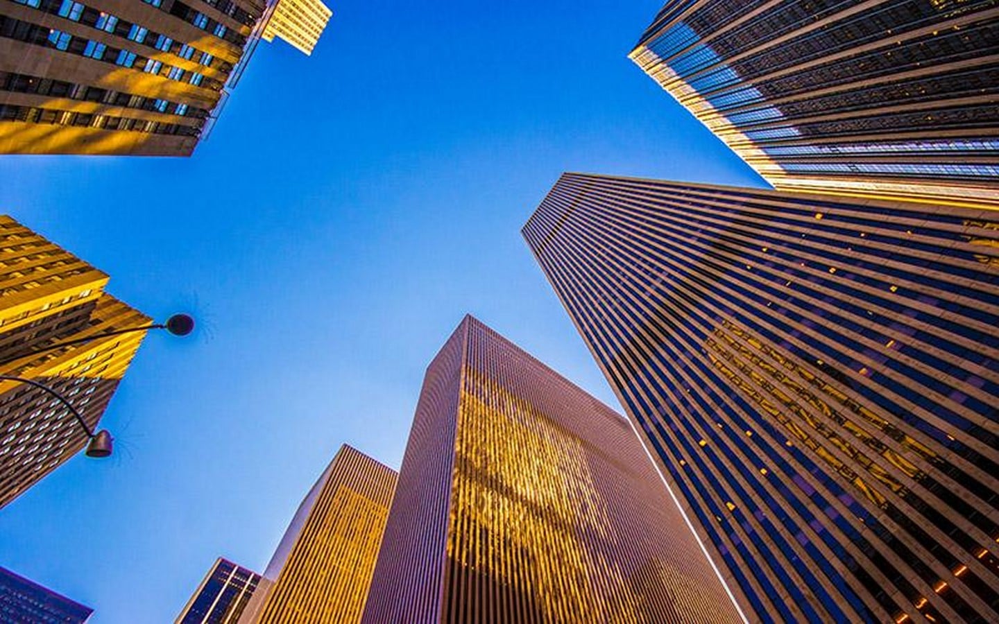 Perkins and Will: Shaping Cities, Fostering Well-being, and Leading in Sustainable Architecture-Sheet2