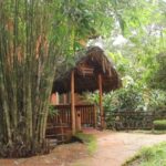 Eugene Pandala – Pioneering Sustainable Architecture of Regional India-Sheet7