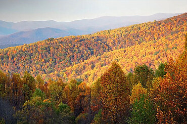 Cost of Living in Woodbridge, Va