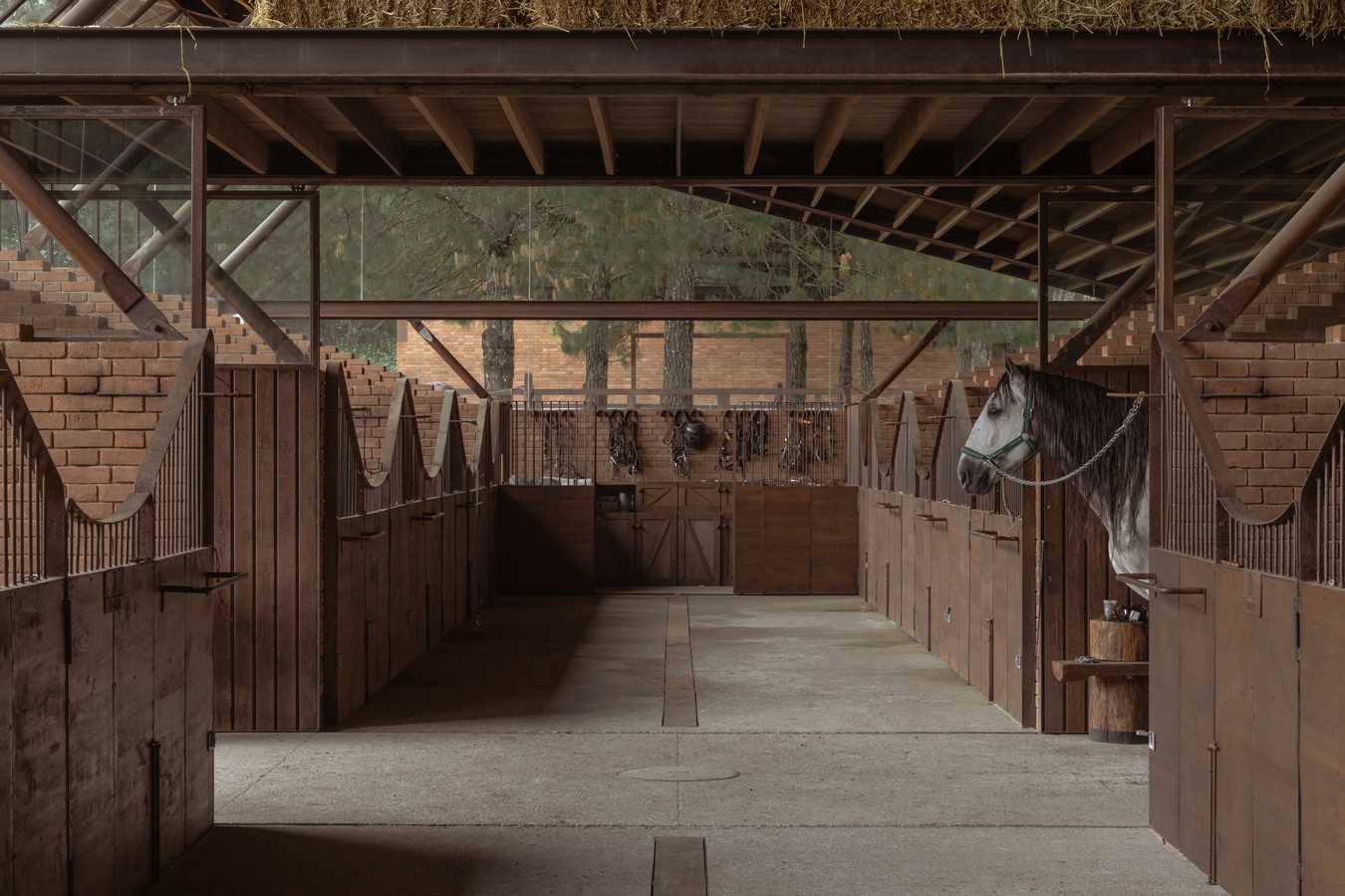 Equestrian San Ramón by Módica Ledezma-Sheet1