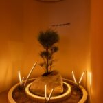The Red Burrow by Unorthodox Designs-Sheet7