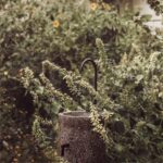 LOS COLADOS by LOCUS-Sheet1