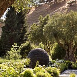 East Bay Pastoral by David Thorne Landscape Architect-Sheet3