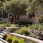 East Bay Pastoral by David Thorne Landscape Architect-Sheet4