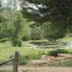 The Enchanting Ranch of Raquel Allegra-Sheet1