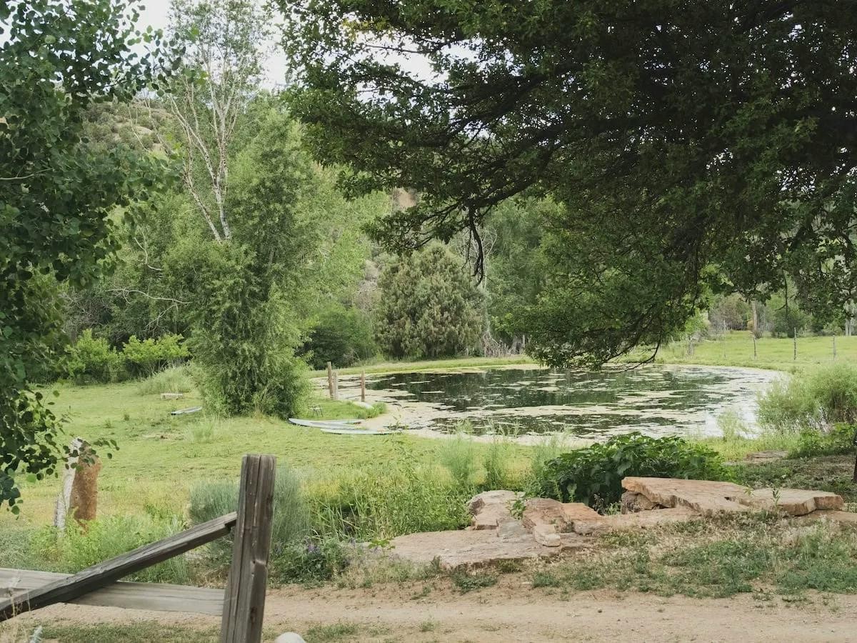 The Enchanting Ranch of Raquel Allegra-Sheet1