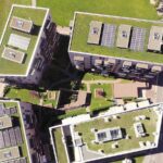 The Role of Green Roofs in Urban Architecture-Sheet1
