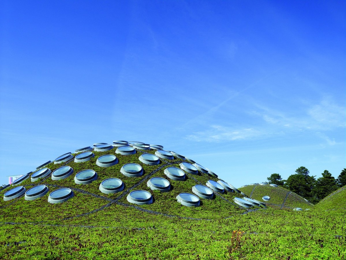 The Role of Green Roofs in Urban Architecture-Sheet3