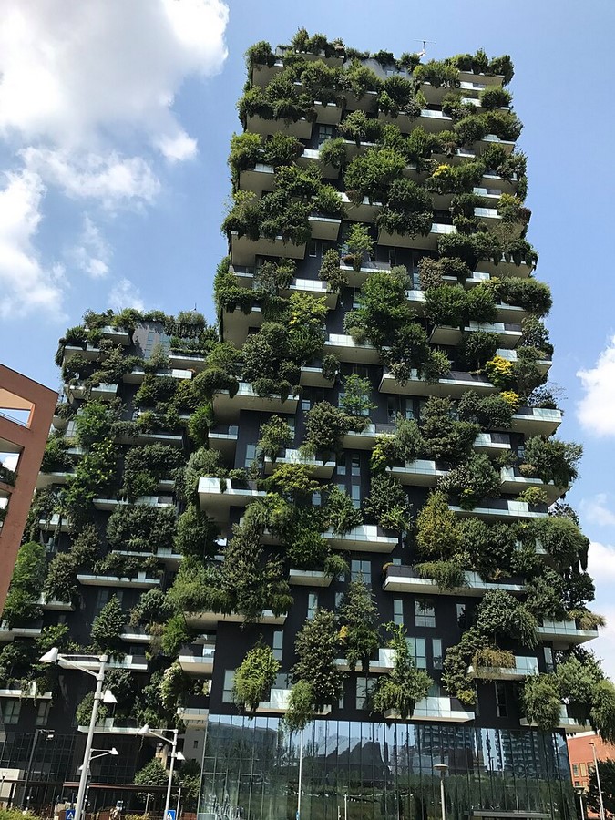 The Role of Green Roofs in Urban Architecture-Sheet4