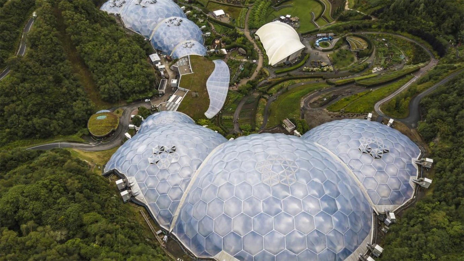 The Fusion of Nature and Algorithm: Biomorphic Design Unveiled-Sheet3