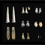 Revealing the Mystery of Denisova Caves A Time Travel Adventure-Sheet4