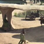 An architectural review of Planet of the Apes-Sheet19