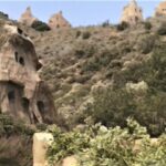 An architectural review of Planet of the Apes-Sheet7