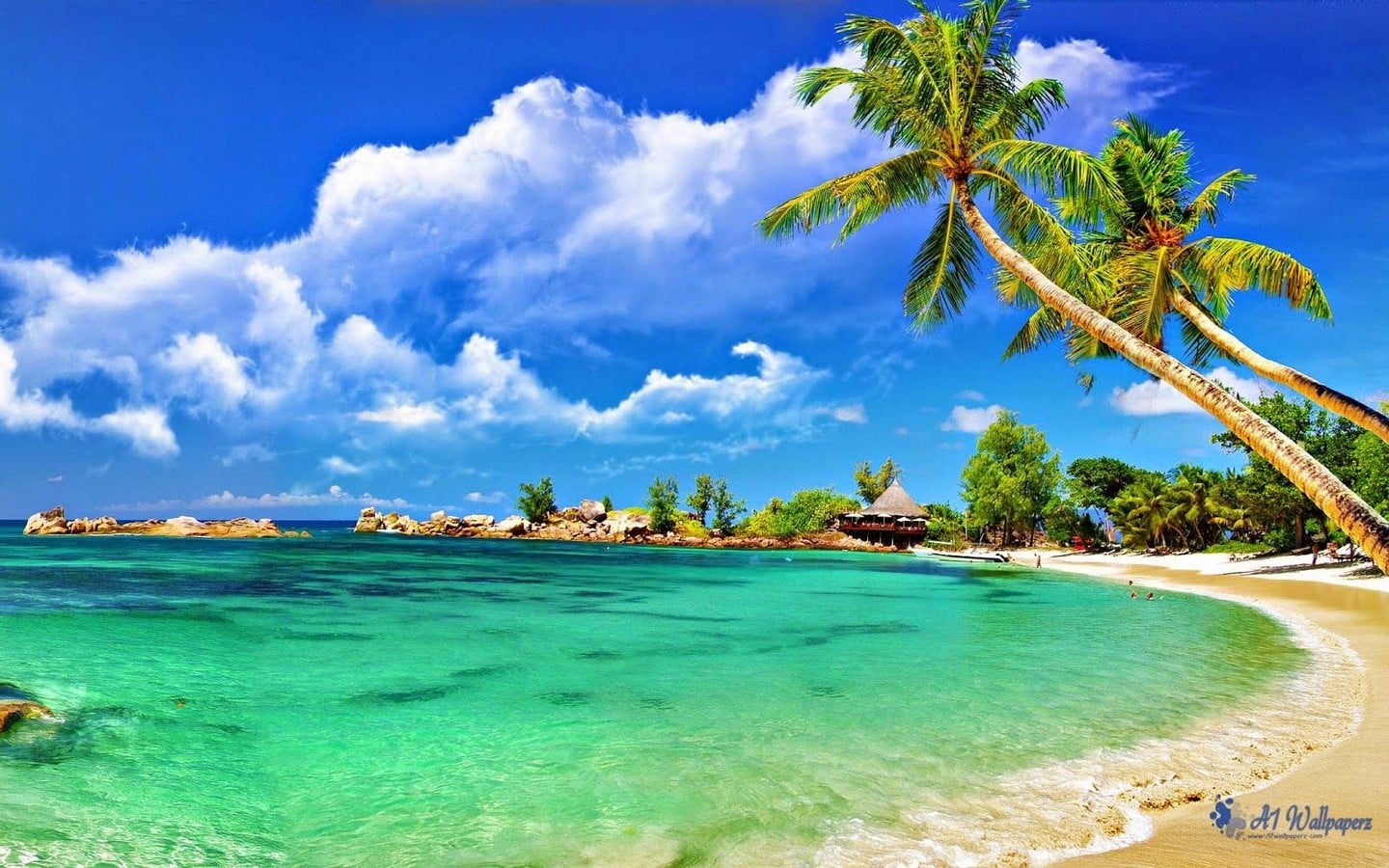 Lakshadweep The new destination-Sheet7